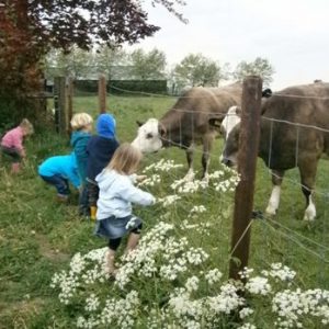 kinderen-kijken-en-voeren-dieren-lange-wei